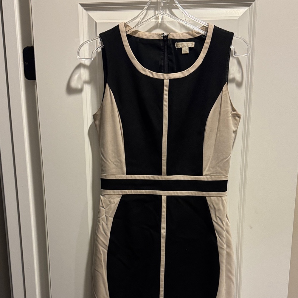 Elegant Black and Tan Dress